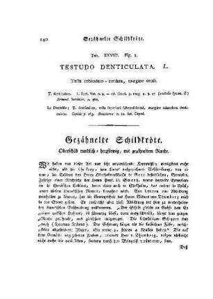 Tab. XXVIII. Fig. I. Testudo Denticulata : Gezähnelte Schildkröte