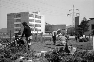 Lörrach, Tüllingen: Gärtnerarbeit der Landwirtschaftsschule, Hintergrund Sonderschule