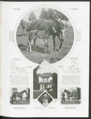 El Haras de los "derby-winners"