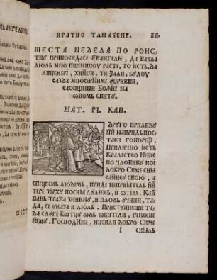 J1r-J2r, Šesta nedela po roistvu pripovidase Evangelije, da vazda ljul meju pšenicou raste,.... Mat. 13. Kap.