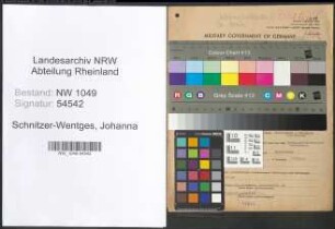 Entnazifizierung Johanna Schnitzer-Wentges , geb. 08.11.1894 (Kauffrau)