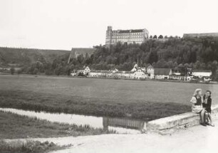 Eichstätt, Willibaldsburg : Eichstätt. Blick von der Altmühlaue nach Ostnordosten gegen die Willibaldsburg