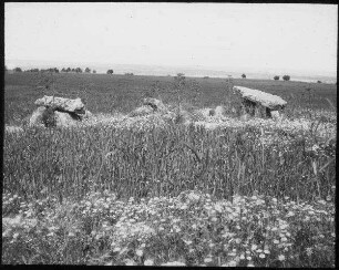 Dolmen bei et-taijibe ('aglun) Reym. 1908 8/4