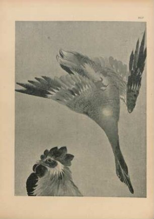 BCF [Oie et tête de coq, Études par Hokusai]