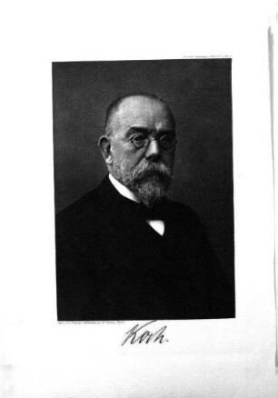 Tafel: Koch