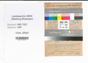 Entnazifizierung Alfred Voss , geb. 28.08.1901 (Maler)