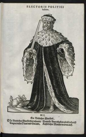 Electoris politici habitus.