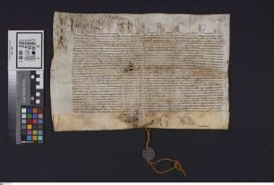Wimpfen: Papst Paul V. [...]