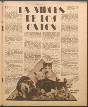 La virgen de los gatos