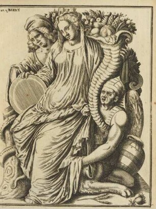 Abbildung: Tab. XIII. p. 82