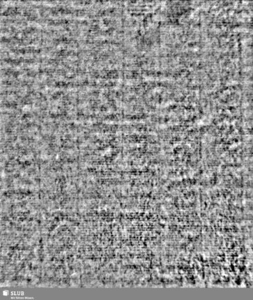 Lilie / CVC = S.9/10