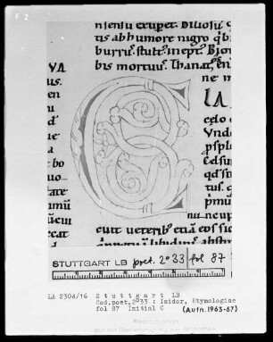 Isidor von Sevilla, Etymologiae — Initiale C, Folio 87recto