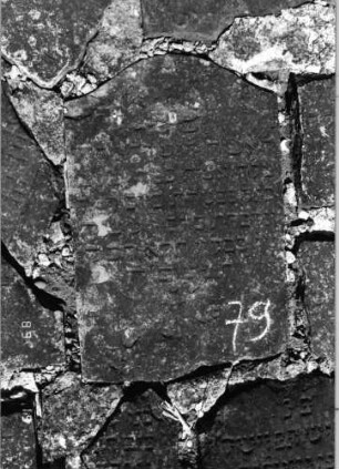 Grabstein 79 (Index: 99796420) Material: Sandstein Zustand: leicht verwittert Maße HxBxT: 0x0x0 cm Beschreibung: Stele, Konvexbogenabschluß: Grabstein 79 (1)