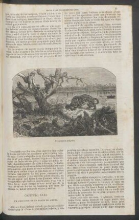 Capítulo XXXI. - Un percance en un banco de arena.