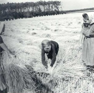 Frauen bei der Feldarbeit : Ort: Slepo / Schleife. Frauen bei der Feldarbeit, darunter eine Journalistin.