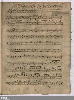 Violoncello e Contrabasso