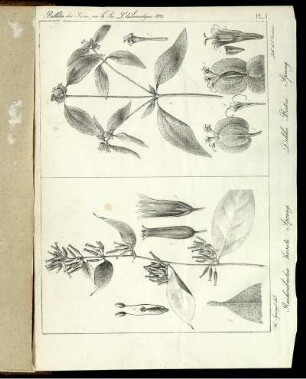 Pl. 1. [bis] Pl. 2.