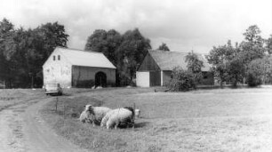 Malschwitz-Baruth. Mühle, Blick auf die Wirtschaftsgebäude