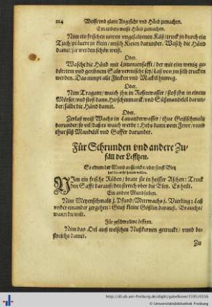 Für Schrunden und andere Zufäll der Lefftzen.