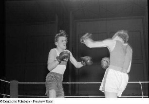 Boxkampf