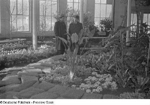 Fachbesucher vor Blumen in einem Gewächshaus