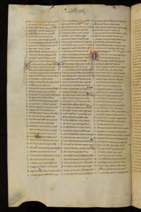 Carmen paraeneticum ad Rainaldum de contemptu mundi
