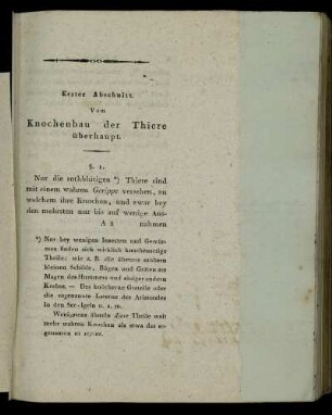 Erster Abschnitt. Vom Knochenbau der Thiere überhaupt