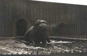 Leipzig: Zoolog. Garten ; Benga steigt aus dem Bade