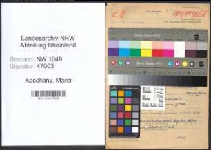 Entnazifizierung Maria Koschany , geb. 05.08.1889 (Lehrerin)