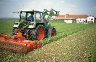 Fotografie: Stoppelbearbeitung, Flügelschargrubber, Zinkenrotor, Zahnpackerwalze