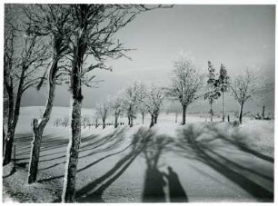 Erzgebirge, Schattenwurf von Bäumen in verschneiter Landschaft mit dem Schatten des Fotografen