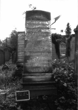 Grabstein 1254 (Index: 100104471) Material: Sandstein Zustand: leicht angewittert Maße HxBxT: 205x54x28 cm Beschreibung: obeliskenartige Stele Besonderheit: kulturhistorisch wertvoll / hist.-wiss. Gründe (Vorbeter): Grabstein 1254