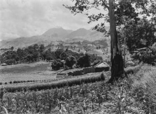 Kulturlandschaft : Kulturlandschaft am östlichen Rand der Uluguru-Gebirgskette nahe Matombo