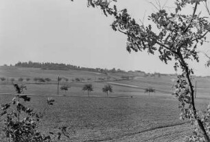 Blick auf Dorf Salzenforst