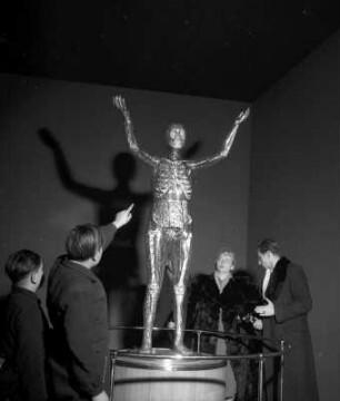 Besucher im Deutschen Hygiene-Museum Dresden an der Gläsernen Frau