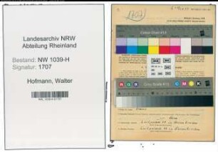 Entnazifizierung Walter Hofmann , geb. 08.11.1909 (Ingenieur)
