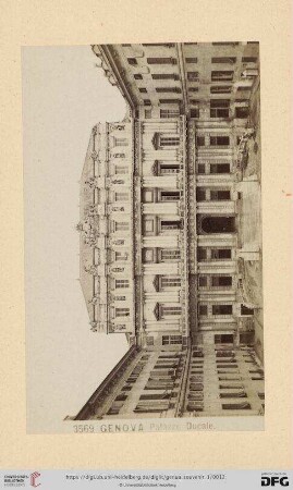 3569. Palazzo Ducale