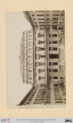 3569. Palazzo Ducale