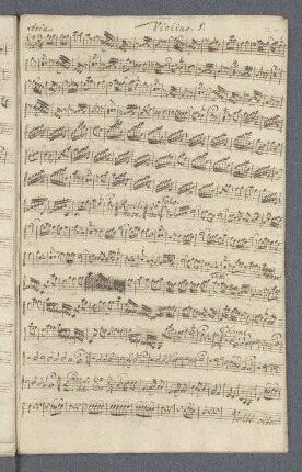 Violino.