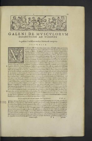 Galeni de musculorum