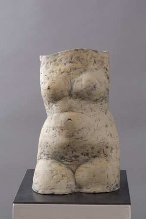 Weiblicher Torso III