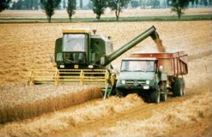 Fotografie: Erntetechnik, Mähdrusch, Mähdrescher selbstfahrend, Transport, Transportgerät, Parallelverfahren, Muldenkipper