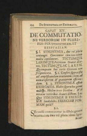 Caput XIV. De Commutatione Verborum In Pluribus ...