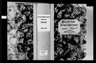 Ubstadt, katholische Gemeinde: Standesbuch 1810-1833