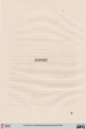 Rapport
