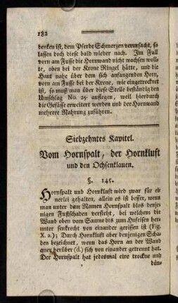 182-195, Siebzehntes Kapitel.