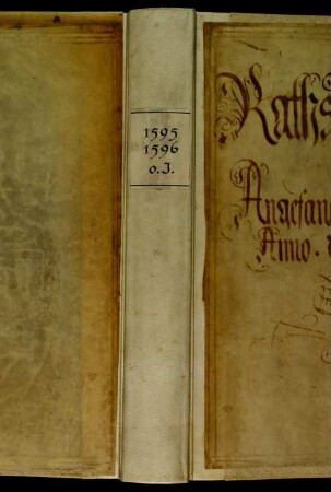 Ratsprotokolle, 1595 Juli 30. - 1596 Juli 27.