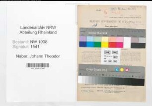 Entnazifizierung Johann Theodor Naber , geb. 05.10.1894 (Beamter)