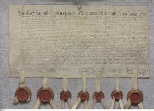Ginsheim: Kaufbrief über die Aue