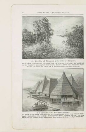 40. Strandsee mit Mangroven an der Küste von Neuguinea